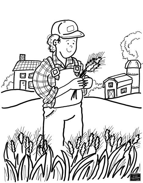 Раскраски сельскохозяйственный труд