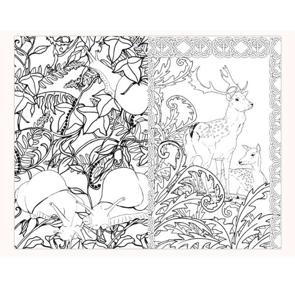 Загадочный лес антистресс