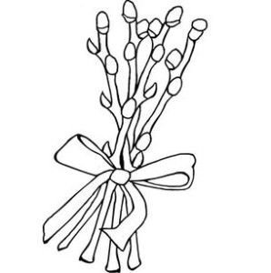 Верба раскраска