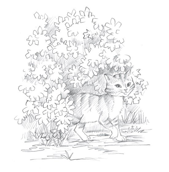 Лес дружбы кошка Голди