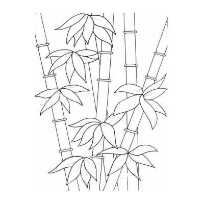 Раскраски бамбуковый лес (38 фото)