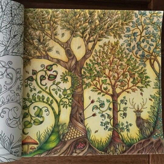 Заколдованный лес Джоанна Басфорд