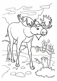 Раскраска Лось в зимнем лесу