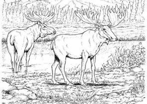 Пейзаж с животными карандашом