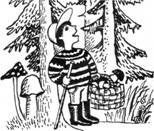 Заблудиться в трех соснах раскраска