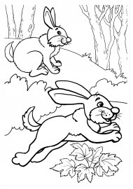 Заяц в лесу раскраска