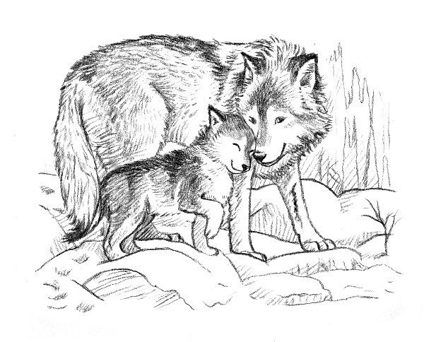 Раскраска волчица с волчатами