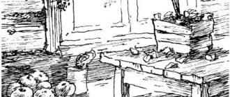 Раскраски жильцы старого дома (40 фото)