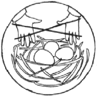 Экологические знаки для детей раскраски