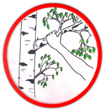 Раскраски запрещенные знаки в лесу (31 фото)