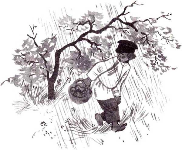 Гроза в лесу толстой