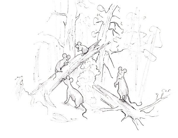 Раскраска утро в Сосновом лесу Шишкин