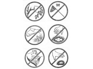 Экологические знаки раскраска