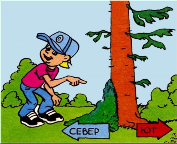 Ориентирование на местности для детей