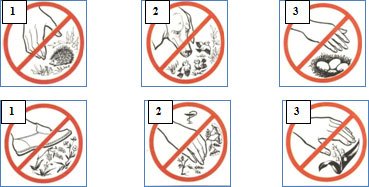 Условные знаки поведения на лугу