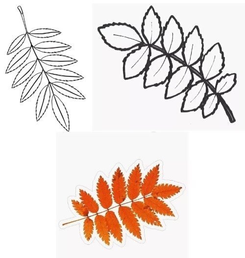 Рябиновый лист трафарет