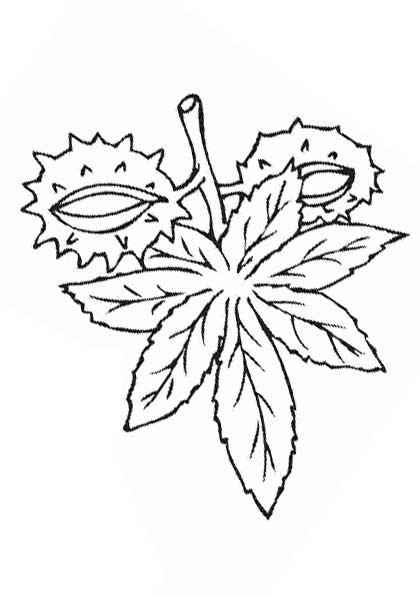 Лист каштана раскраска