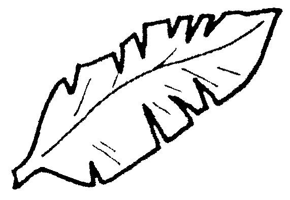 Листок пальмы раскраска