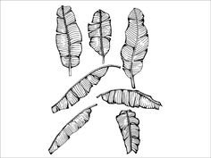 Банановые листья трафарет