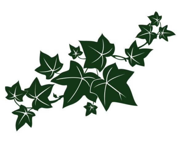 Трафарет вьющихся растений