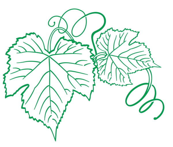 Виноградный лист трафарет