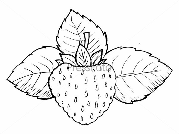 Трафарет клубника с листиком