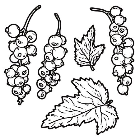 Смородина трафарет