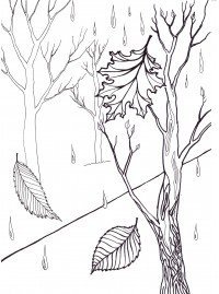 Осень карандашом