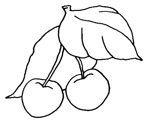 Раскраска яблоня, вишня, груша, малина