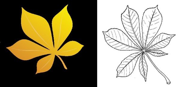 Лист каштана контур