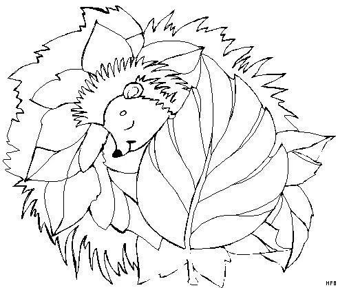 Ежик спит раскраска