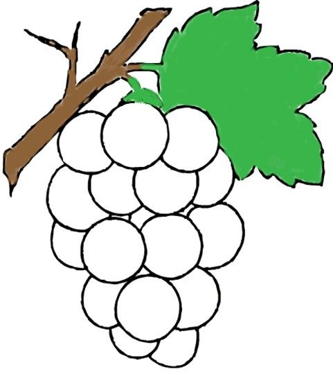 Виноград раскраска