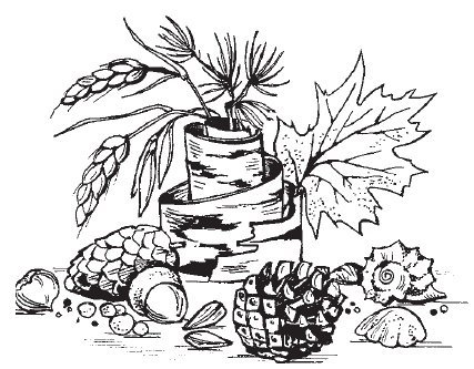 Раскраска природный материал