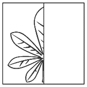 Дорисуй вторую половину листочка