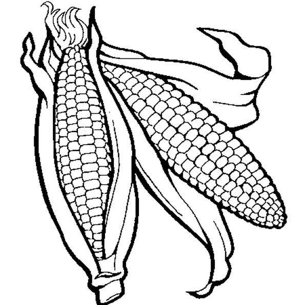 Лист кукурузы рисунок