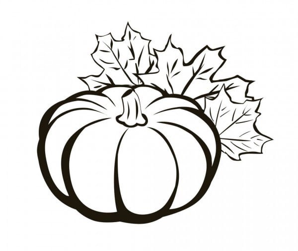 Лист тыквы раскраска