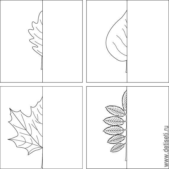 Дорисуй половинку листика