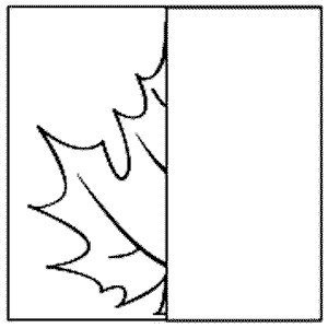 Дорисуй половинку листика