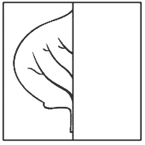 Дорисуй половинку листика