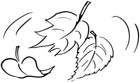 Лист на ветру