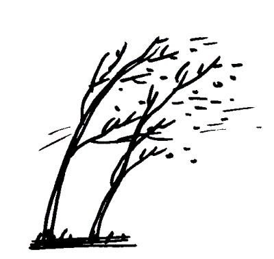 Порывы ветра для детей