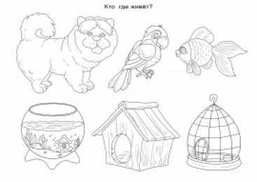 Раскраска домик для животных