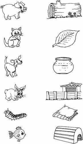 Задания для детей кто где живет