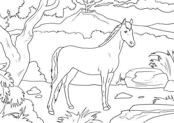 Раскраска природа Казахстана