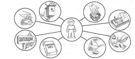 Задание для детей охрана природы