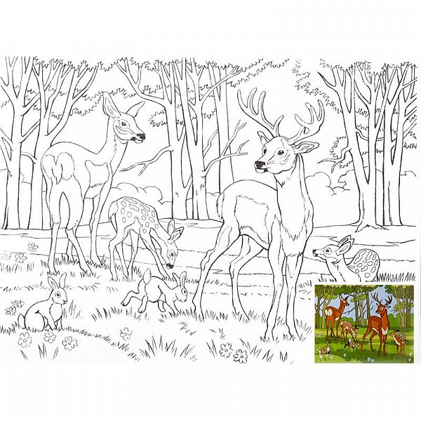 Раскраска по номерам "олени"