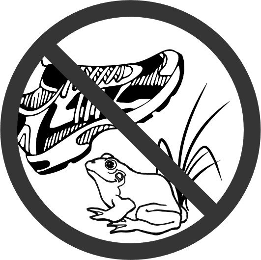 Запрещающие знаки охрана животных