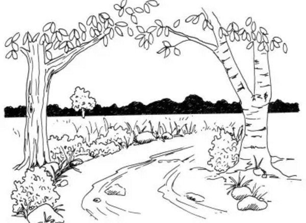 Рисунки карандашом природа