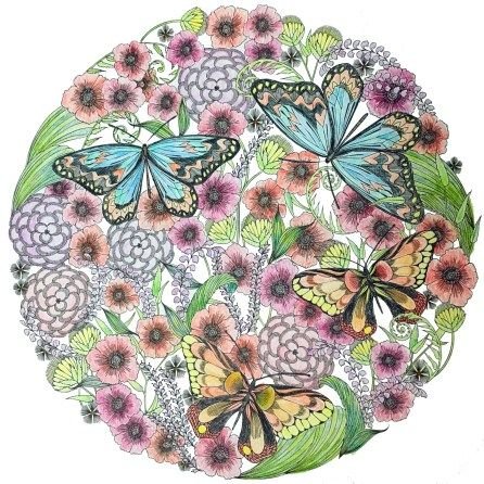 Милли Маротта бабочка в цвете