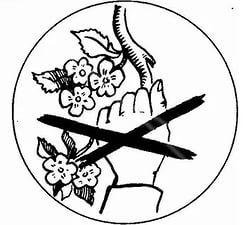 Раскраски запрещающие знаки по охране природы (35 фото)